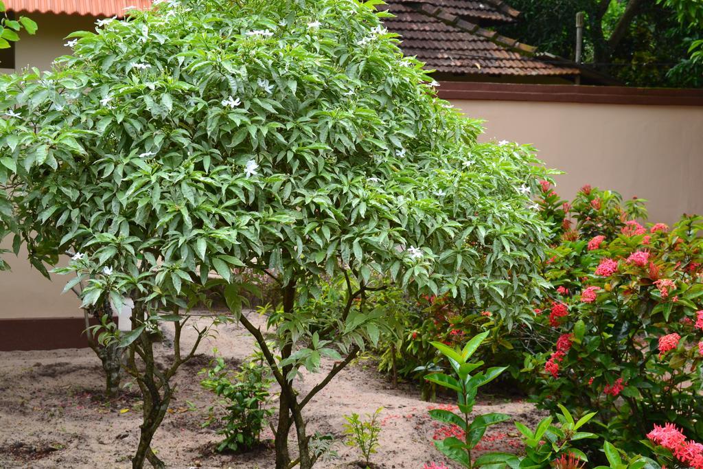 Tharavad Heritage Alappuzha Екстер'єр фото